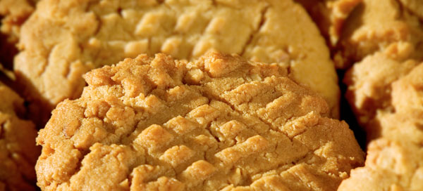 Peanut Butter Cookie